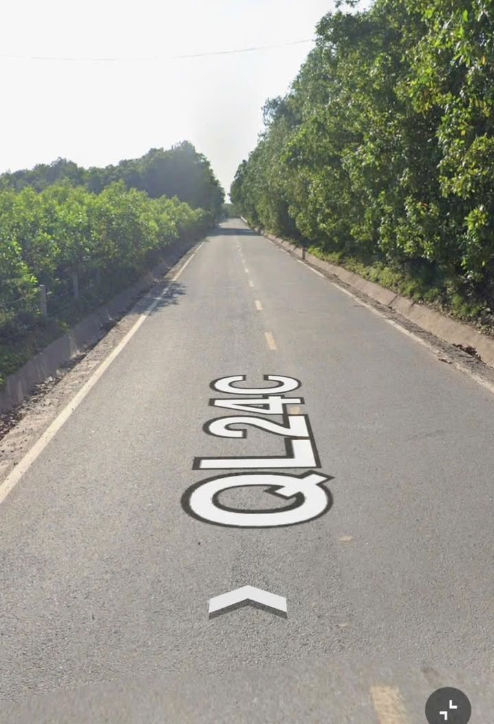 Đất rừng 14 sào tại Tĩnh lộ 24C, Bình Long - Quảng Ngãi giá thỏa thuận