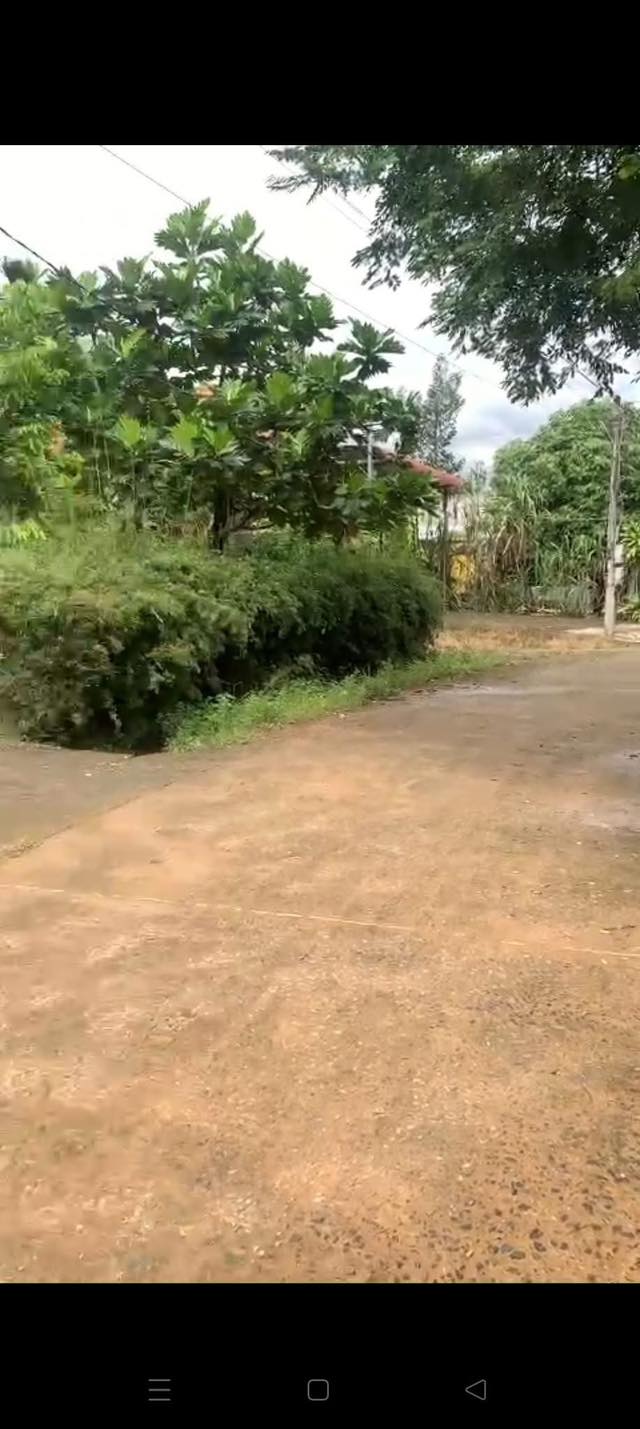 Đất nền Đạ Huoai 250m² giá 390 triệu - Cơ hội đầu tư hấp dẫn!