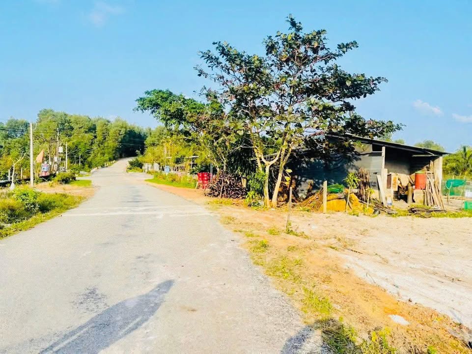 Đất nền mặt tiền Tỉnh Lộ 6 Phường Phong Dinh 240m² giá 550 triệu - Đầu tư sinh lời!