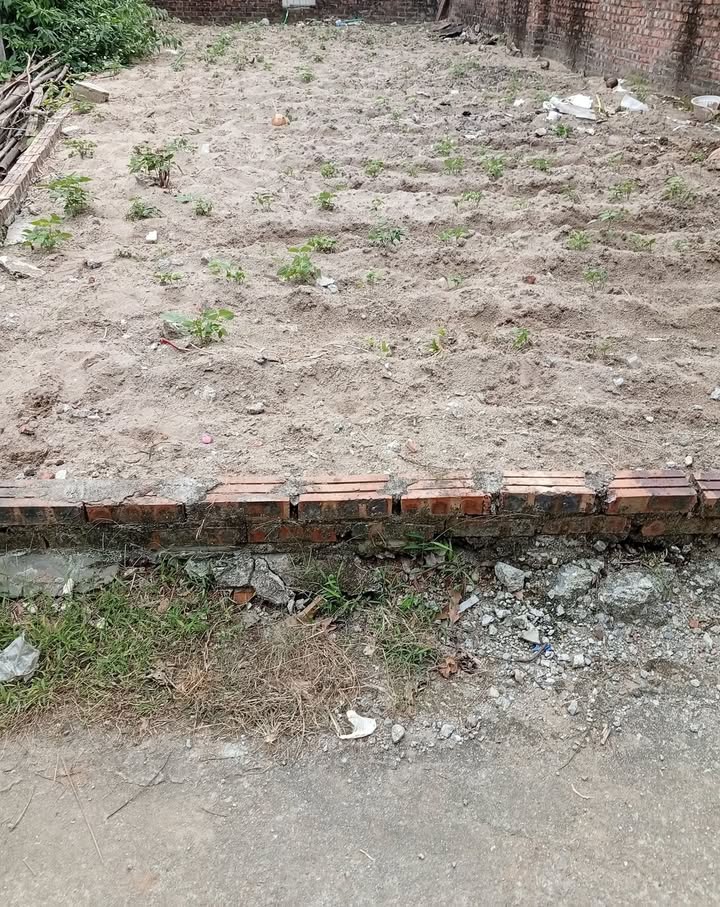 Đất nền xã Ngũ Hiệp, Thanh Trì 40m² giá 4 tỷ - Cơ hội đầu tư vàng!