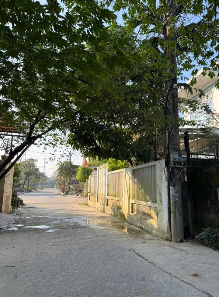 Đất Mặt Tiền Nguyễn Viết Song, Huế 100m² giá 2.99 tỷ - Đầu tư sinh lời ngay!