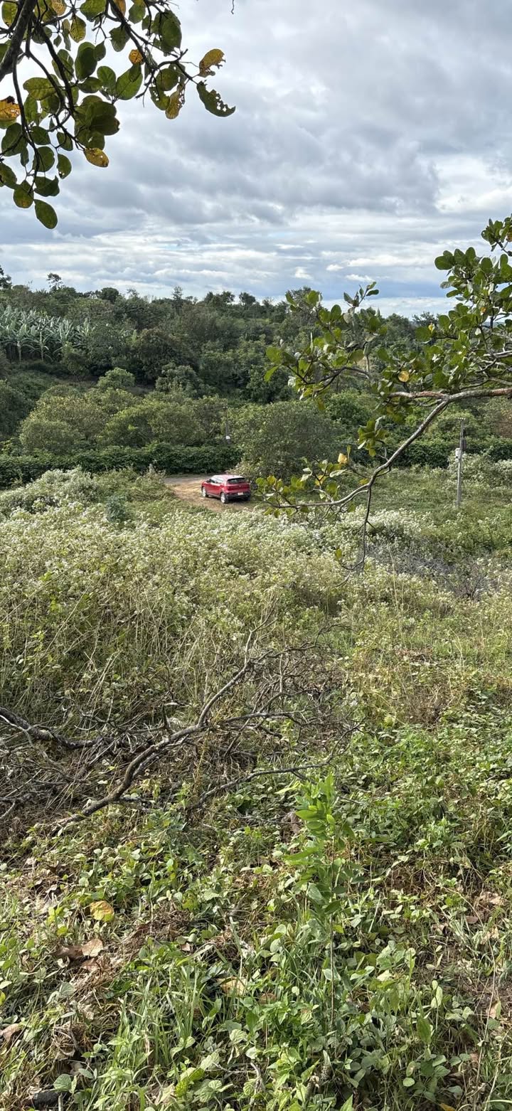 Đất nền thôn 8, Cư M'gar 1620m² giá 1.5 tỷ - View đồi siêu đẹp!