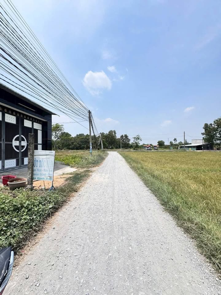 Đất nền 559m² tại Ấp Bình Tiền 2, Đức Hòa Hạ - Giá 4.9 tỷ - Đầu tư sinh lời lý tưởng!