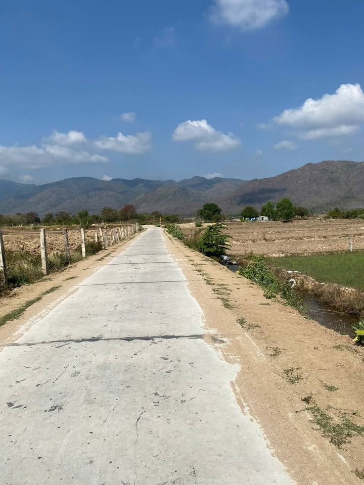 Đất cây trồng 8000m² mặt tiền đường đất - Giá 1.3 tỷ thương lượng nhẹ