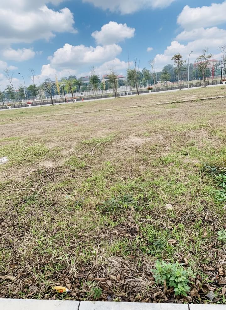 Đất nền khu Nam Việt, xã Trưng Vương, 180m² - Cơ hội đầu tư hấp dẫn!