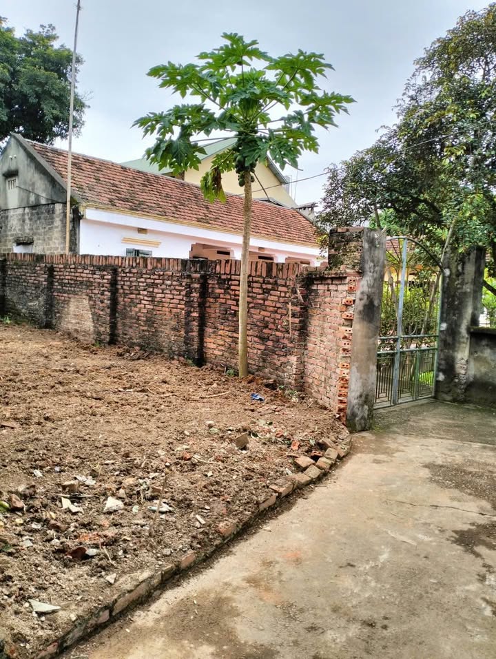 Đất nền Ngõ 123 Nguyễn Văn Linh 89m² giá chỉ 2 tỷ - Cơ hội đầu tư tuyệt vời!