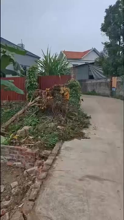 Đất nền Ngọc Sơn, Hiệp Hòa 155m² giá chỉ 500 triệu - Đầu tư sinh lời ngay!