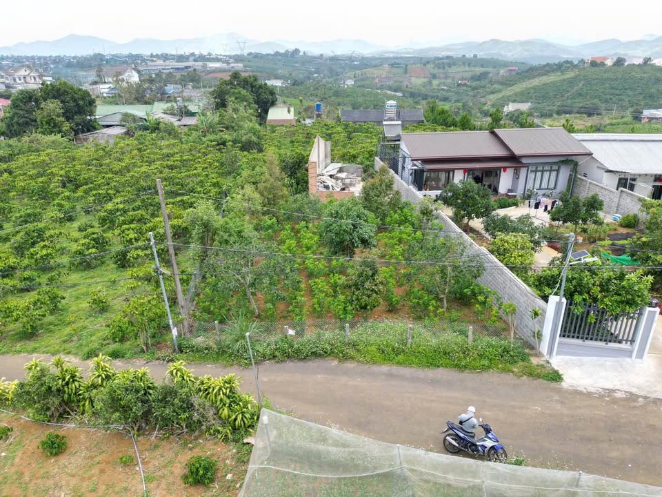 Đất nền 422 Phan Đình Phùng, Bảo Lộc 200m² giá 3.5 tỷ - Cơ hội đầu tư hấp dẫn!