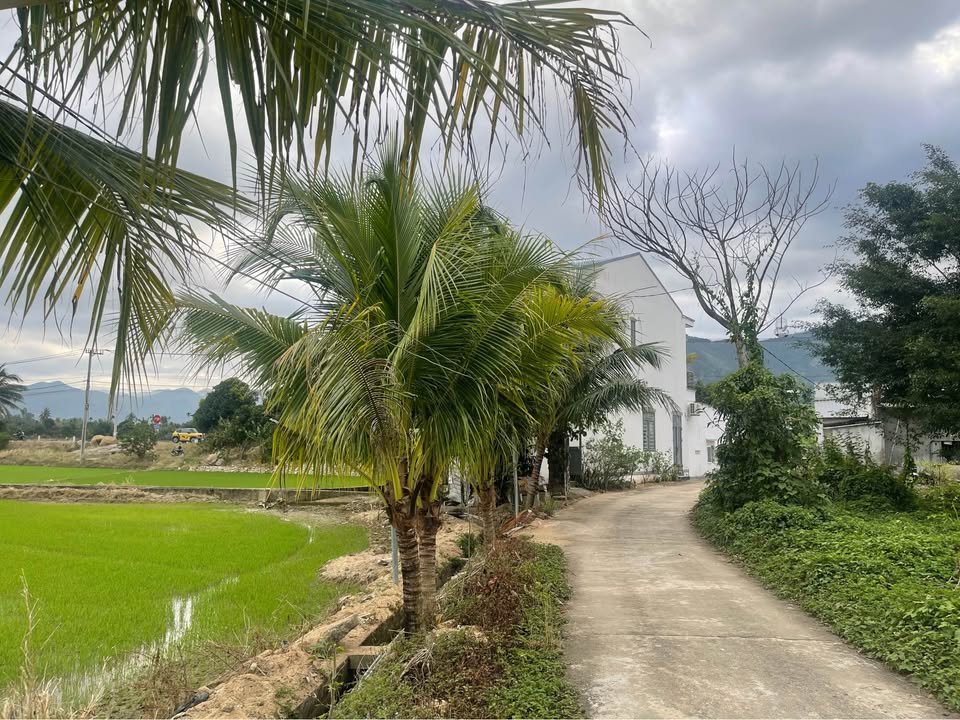 Đất Suối Hiệp, Diên Khánh 88,3m² giá 565 triệu - Cơ hội vàng đầu tư!