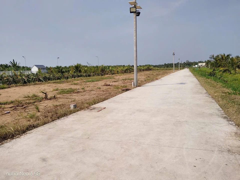 Đất nền tại Đại Phúc, Càng Long, Trà Vinh 98.5m² giá 335 triệu - Đầu tư sinh lời ngay!