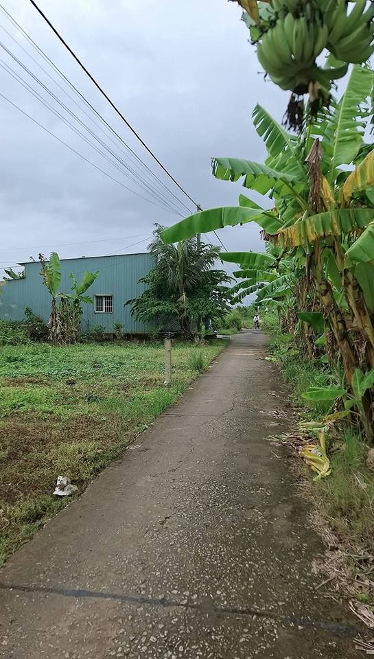 Đất mặt tiền đường lộ bê tông 750m² tại phường Hiệp Thành - Giá chỉ 1 tỷ!