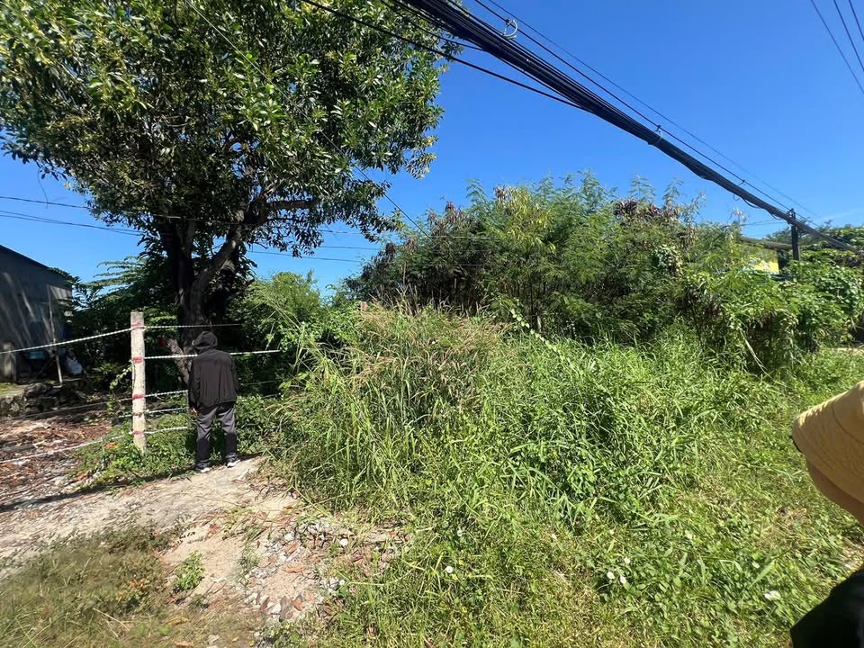 Đất nền mặt tiền kinh doanh Quốc Lộ 51, Tân Hải, 1800m² - Cơ hội đầu tư vàng!