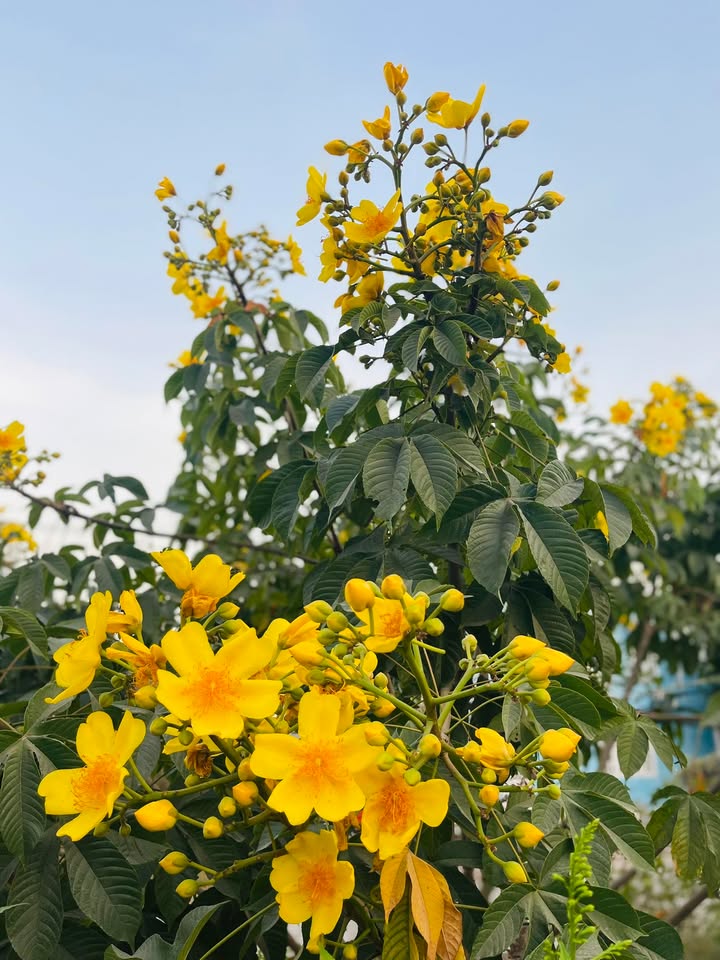 Đất nền xã Tân An, huyện Vĩnh Cửu, 520m² giá 300 triệu - Cơ hội đầu tư lý tưởng!