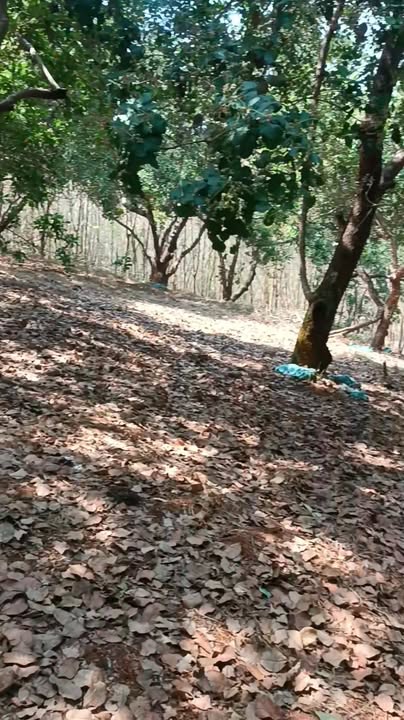 Đất nền 30m² tại Xã Nghĩa Trung, Huyện Bù Đăng giá 1.1 tỷ - Đầu tư sinh lời ngay!