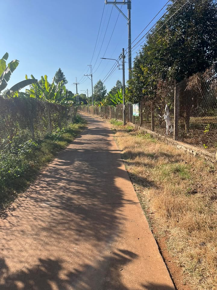 Đất nền 6000m² KP Suối Tre - Giá chỉ 1.05 tỷ, thích hợp mọi loại cây trồng!