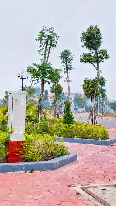 Đất nền KĐT Phía Đông, Lục Nam, 82.5m² giá 4 tỷ - Cơ hội đầu tư không thể bỏ lỡ!