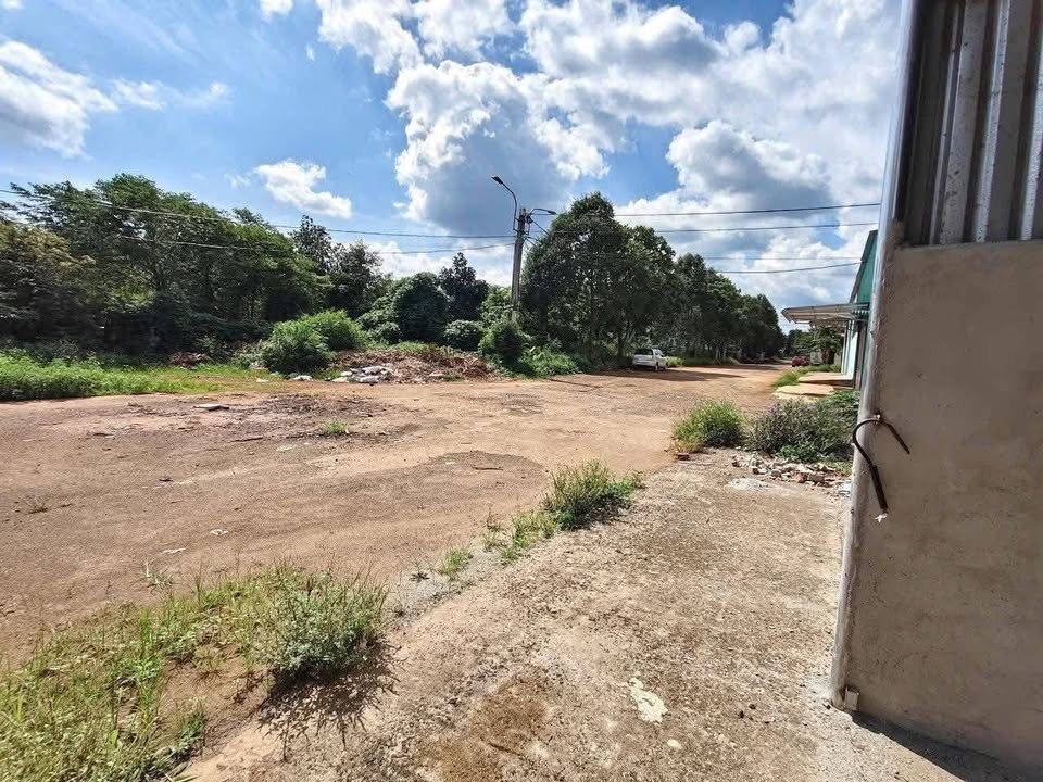 Kho xưởng đẹp tại Phường Tân Lợi, Buôn Ma Thuột 200m² giá 3 tỷ - Sẵn sàng giao dịch!