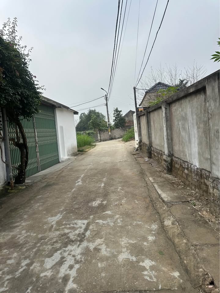 Đất thổ cư 139m² tại Thôn Thủ Trung, Thạch Thất - Giá chỉ 1.666 tỷ