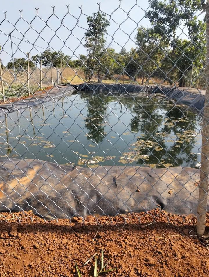 Đất Farm 4 sào tại Quảng Tín, Đắk Nông giá 900 triệu - Cơ hội đầu tư hấp dẫn!