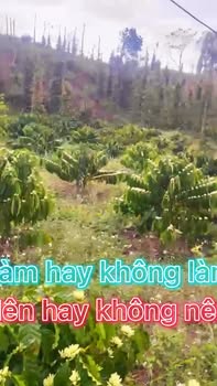 Farm 6,1 sào tại Thôn 4, Xã Trúc Sơn - Giá chỉ 850 triệu
