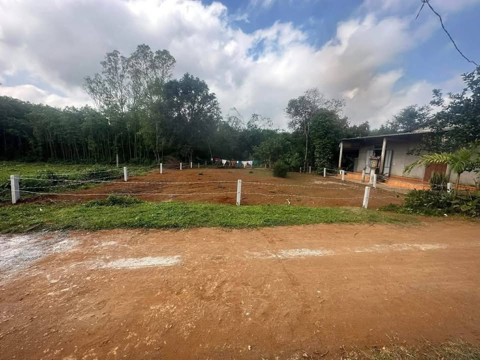 Đất nền Vĩnh Hoàng 420m² giá chỉ 300 triệu - Cơ hội đầu tư hiếm có!