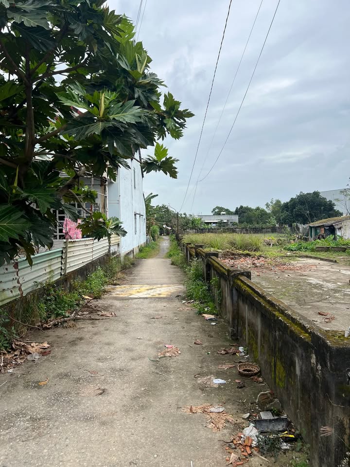 Đất nền Cẩm Kim Hội An 95m² giá tốt - Cơ hội đầu tư hấp dẫn!