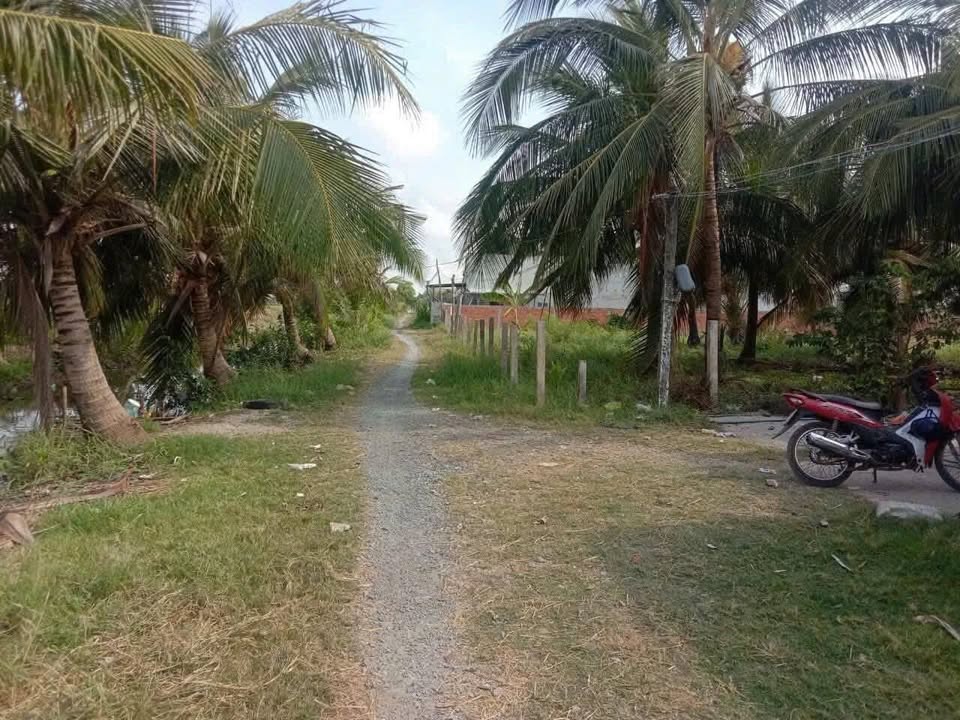 Đất nền 1000m² tại Tân Điền, Gò Công Đông - Chỉ 1.2 tỷ, view kênh thoáng mát!