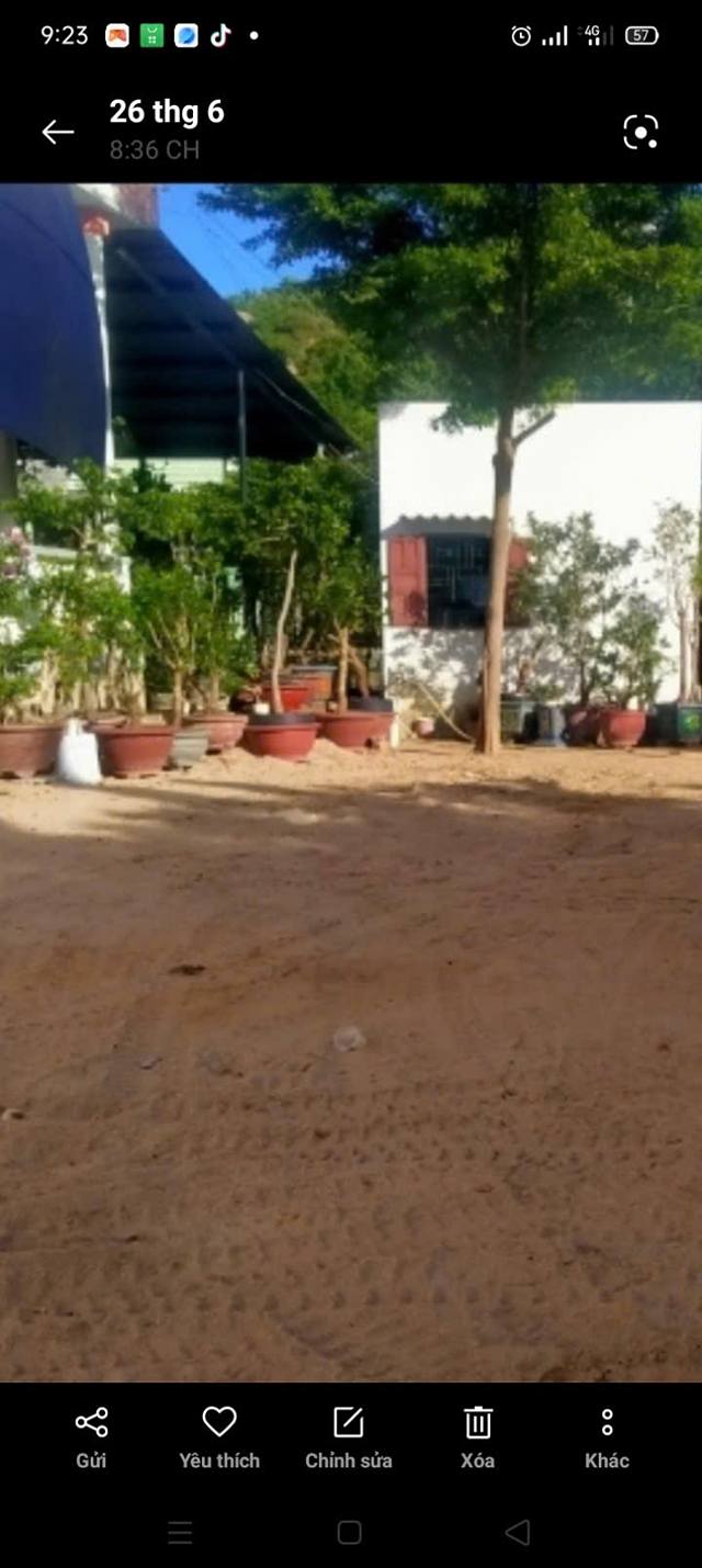 Đất nền 145m² Tri Hải giá 850 triệu - Bớt lộc cho người thiện chí!