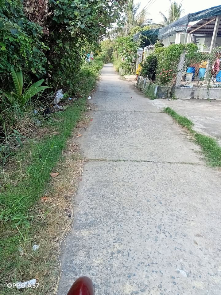 Đất nền 195m² mặt tiền đường Đan 3m, giá 450 triệu - Gần khu dân cư thuận tiện!