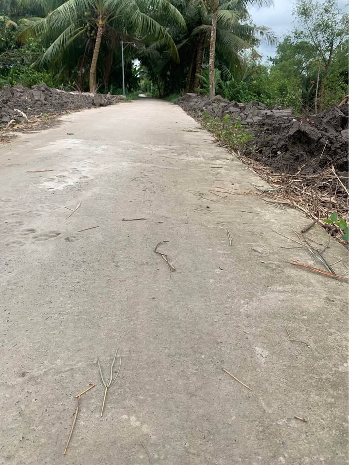 Đất thổ cư 3000m² tại Thạnh Quới, Vĩnh Long - Giá chỉ 290 triệu!