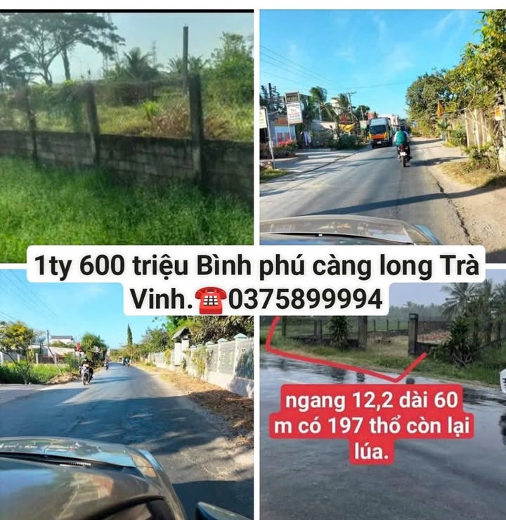 Đất nền Huyện Tiểu Cần 732m² giá 1.6 tỷ - Đầu tư sinh lời ngay!