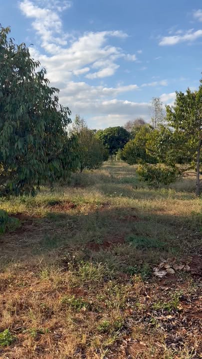 Đất thổ cư 5 xào Quảng Hiệp 18.000m² giá 2.5 tỷ - Sổ hồng chính chủ, thương lượng ngay!