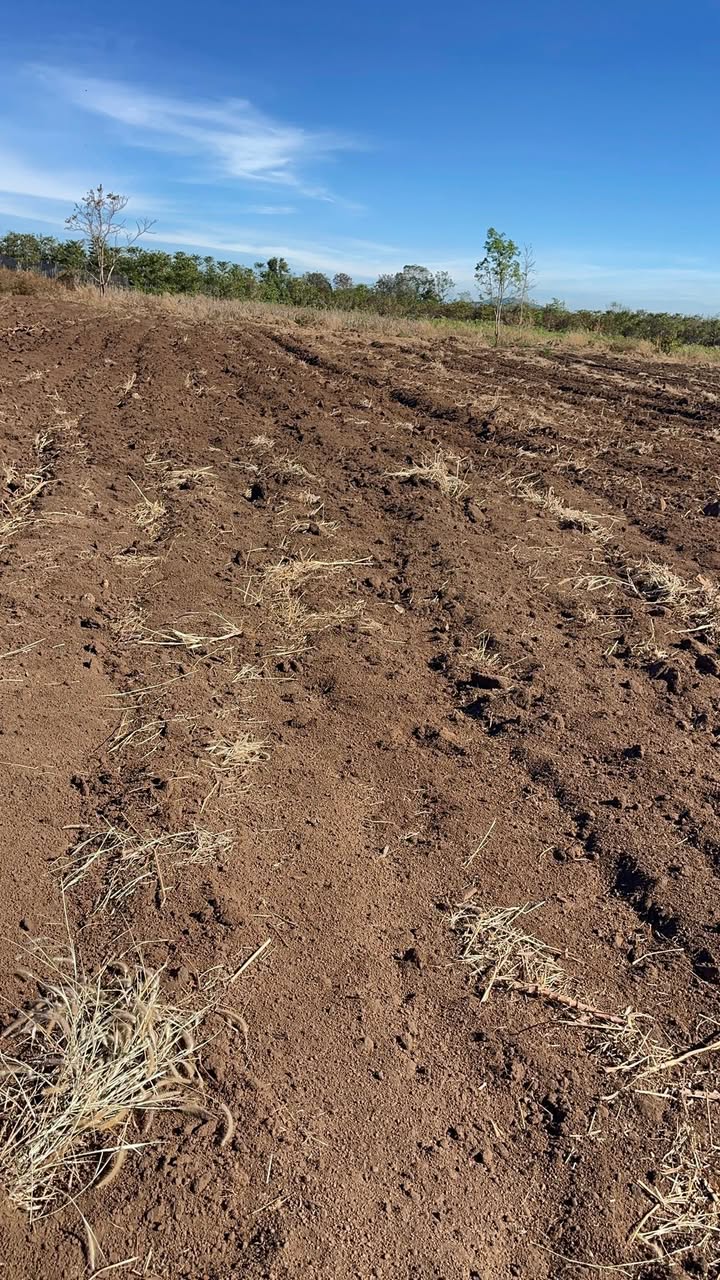 Đất nông nghiệp 2ha4 tại xã Ea H'leo - Giá chỉ 2.5 tỷ - Sổ đỏ chính chủ