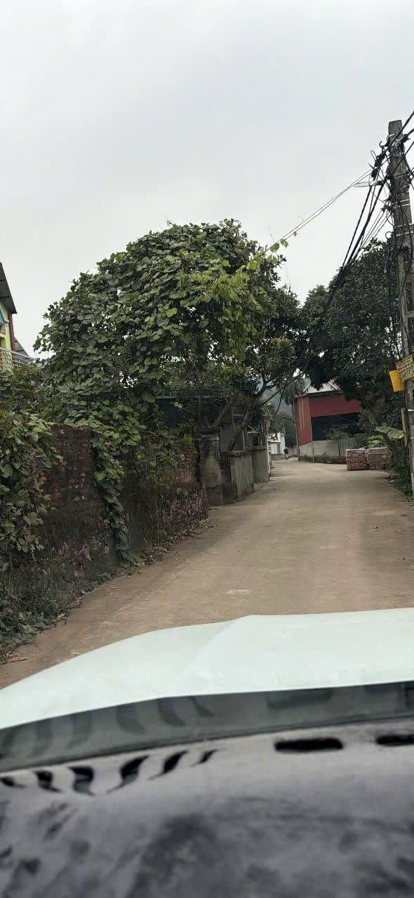 Đất nền Tiên Phong, Nội Hoàng, Bắc Ninh 97m² giá 2 tỷ - Cơ hội đầu tư hấp dẫn!