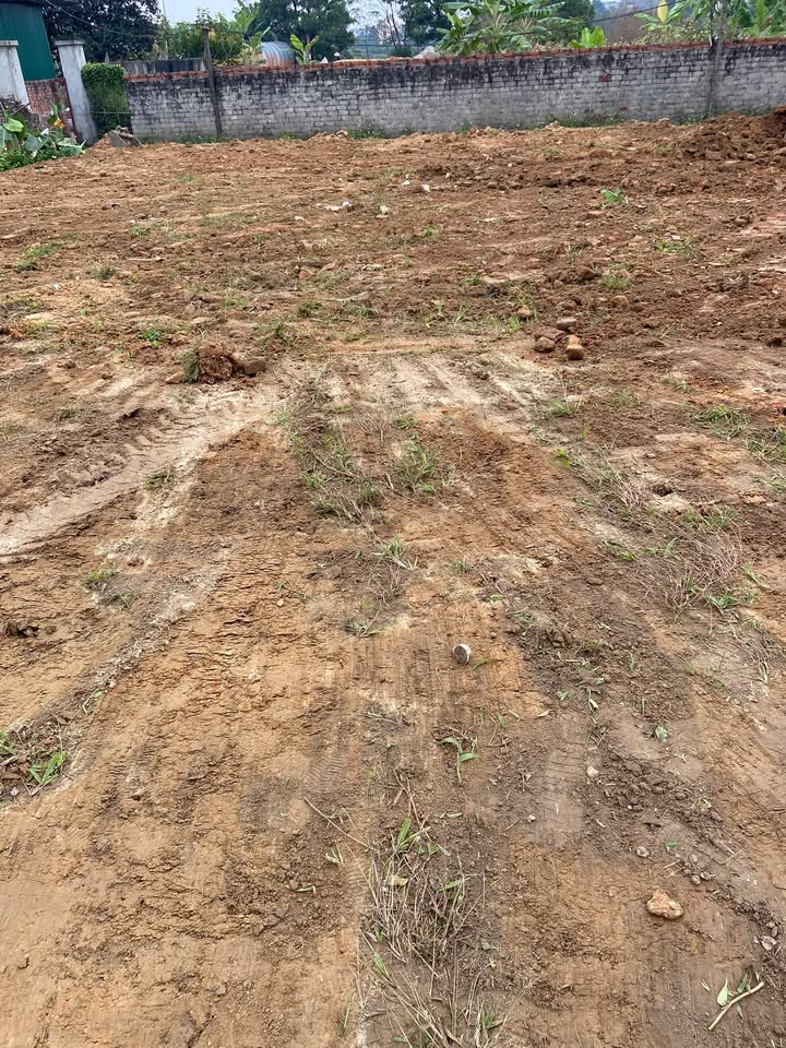 Đất thổ cư TDP Văn Tự Hiệp Hoà, Bắc Ninh 163m² giá 1 tỷ - Vị trí đẹp, dân cư đông đúc!