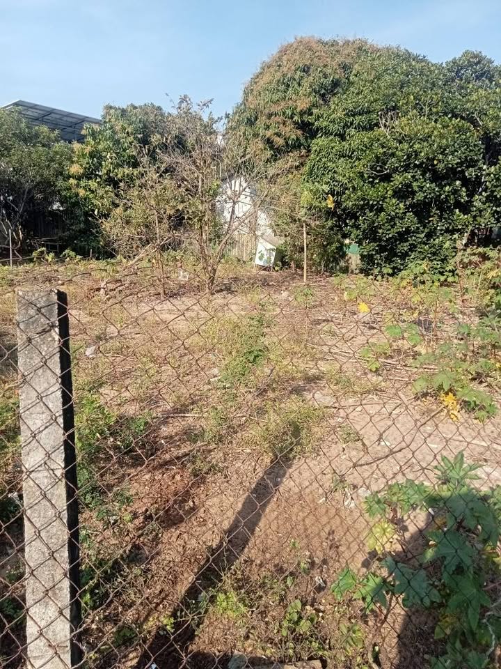 Đất nền Tiến Lợi, Phan Thiết 97m² giá chỉ 330 triệu - Đường ô tô tới đất!