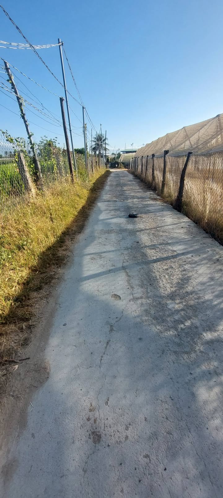 Đất Phước Thiện 1, Ninh Phước 2066m² giá 2.2 tỷ - Cơ hội đầu tư tuyệt vời!