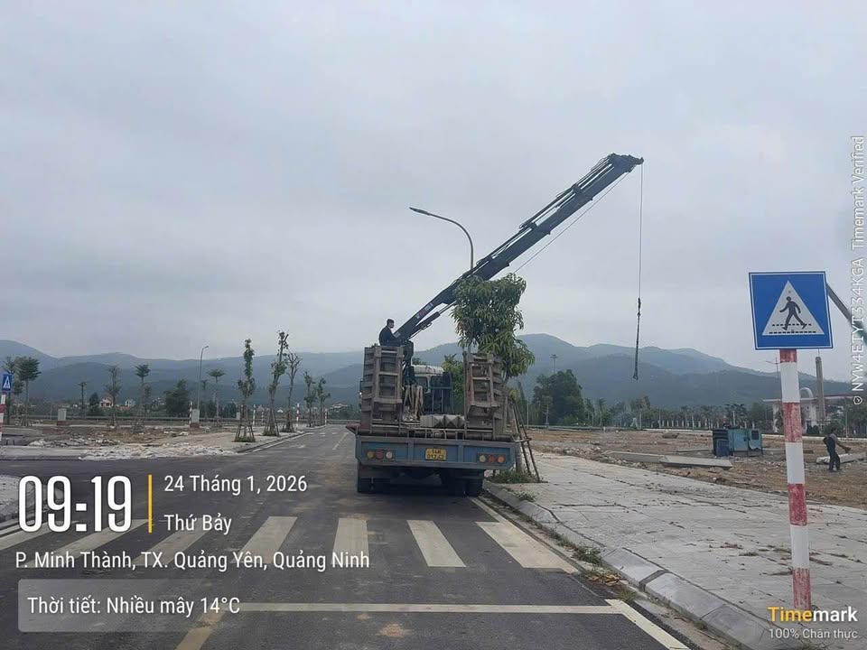 Đất nền Quảng Yên Centro 85m² giá 3 tỷ - Cơ hội đầu tư lý tưởng!