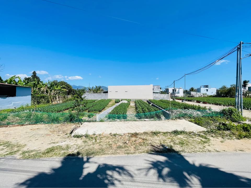 Đất thổ cư thôn Đông Dinh, xã Diên Toàn, 134m² giá 2.278 tỷ - Pháp lý rõ ràng!