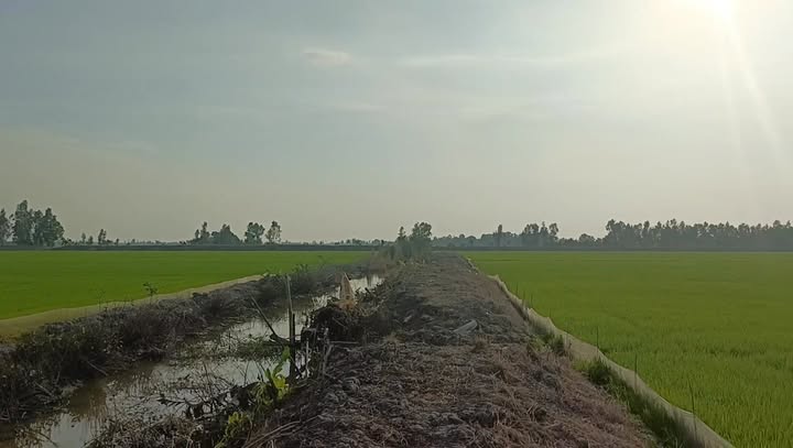 Đất nền 10.000m² Thị Trấn Óc Eo giá chỉ 1.5 tỷ - Cơ hội đầu tư hấp dẫn!