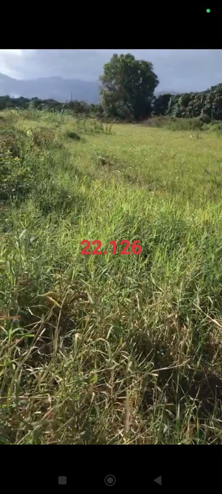 Đất nền Cam Thành Bắc, Cam Lâm 450m² giá chỉ 186 triệu - Cơ hội đầu tư tuyệt vời!