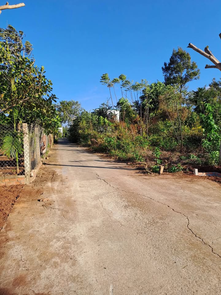 Đất nền Đường B5, Phường Tân Hòa, 115m² giá 980 triệu - Sổ riêng, xây dựng tự do!