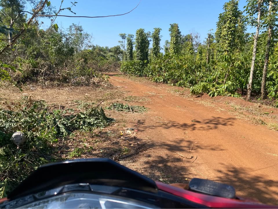 Đất nền mặt tiền đường 170, Buôn Ma Thuột 15.000m² giá 5.13 tỷ - Đầu tư sinh lời!