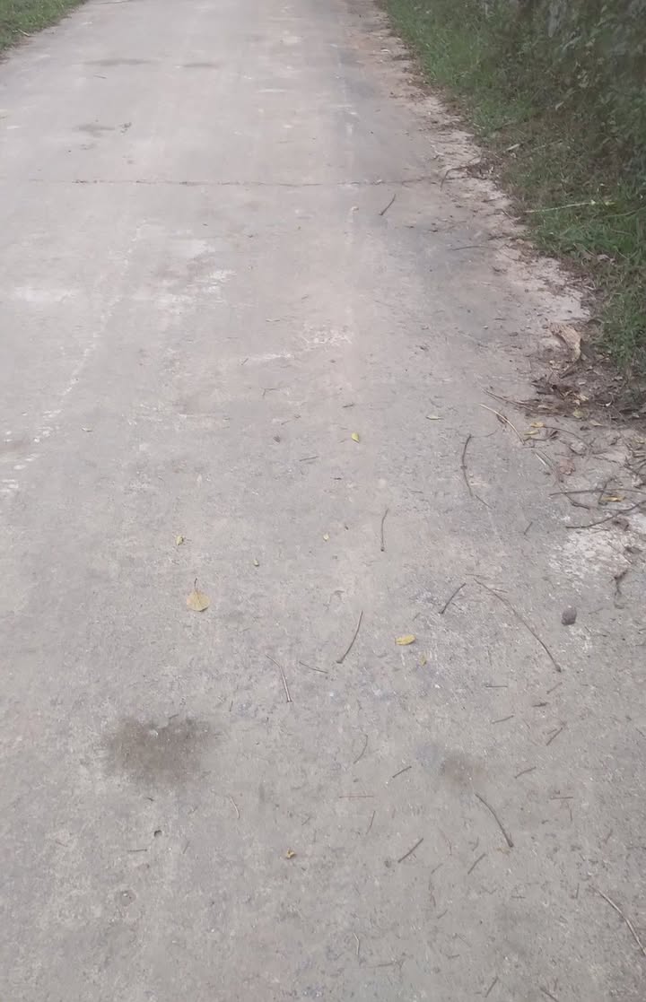 Đất ở Xã Hương Sơn, Huyện Tân Kỳ 378m² giá 230 triệu - Cơ hội đầu tư tuyệt vời!