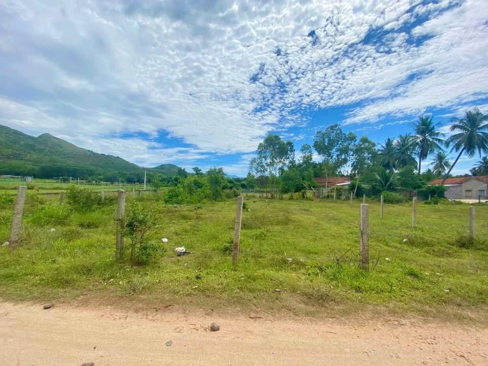 Đất nền thổ cư Xuân Tự 1, Vạn Hưng 120m² chỉ 550 triệu - Cơ hội đầu tư hiếm có!