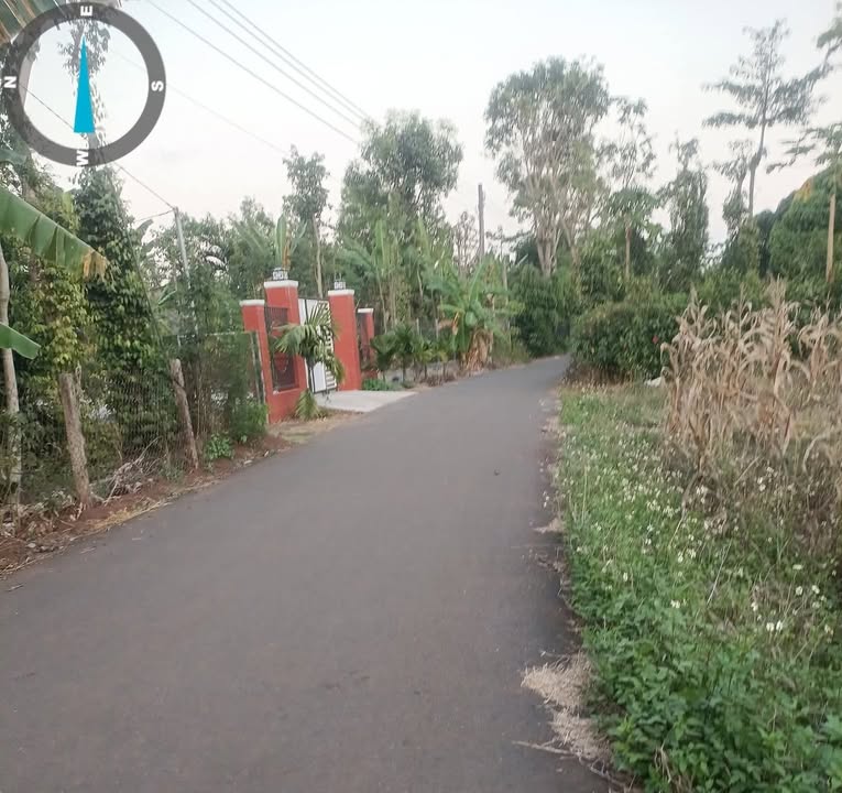 Đất nền xã Đá Bạc, Huyện Châu Đức, 1200m² giá 132 tỷ - Sổ đỏ chính chủ sẵn sàng!