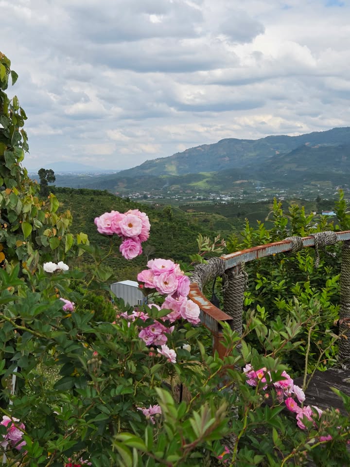 Đất đầu tư tại phường 3 Bảo Lộc 616m² giá 1.45 tỷ - Cơ hội không thể bỏ lỡ!