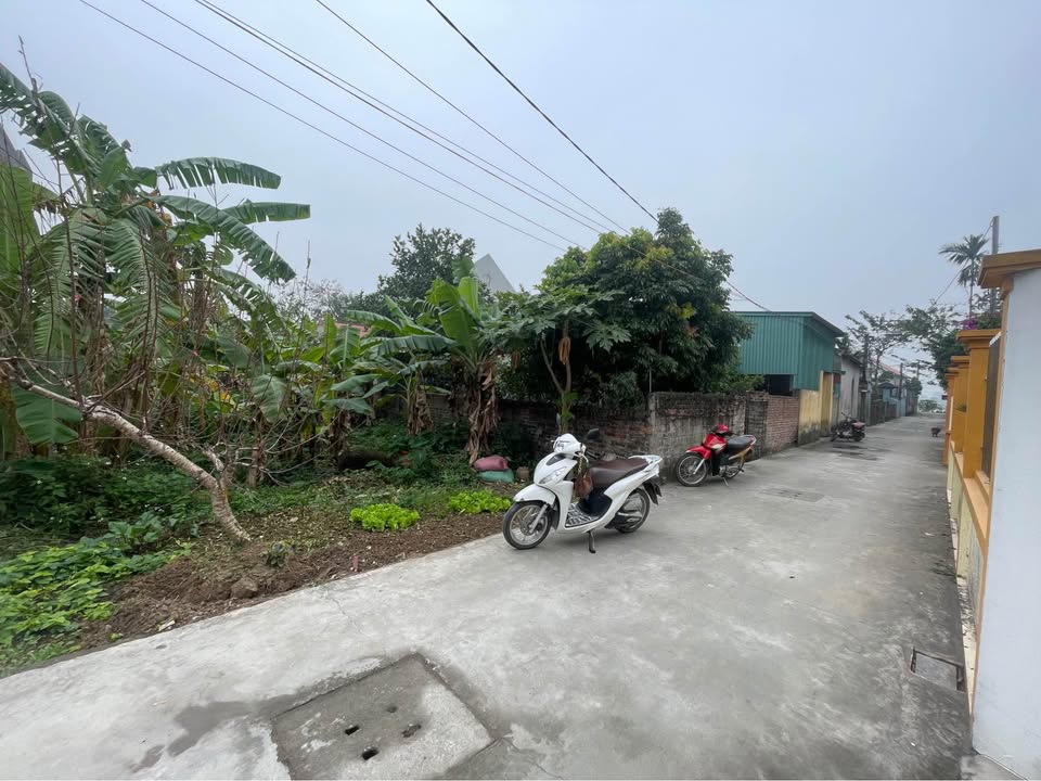 Đất nền Vĩnh Hồng, Bình Giang 104m² giá 1.1 tỷ - Ô tô vào tận nơi!