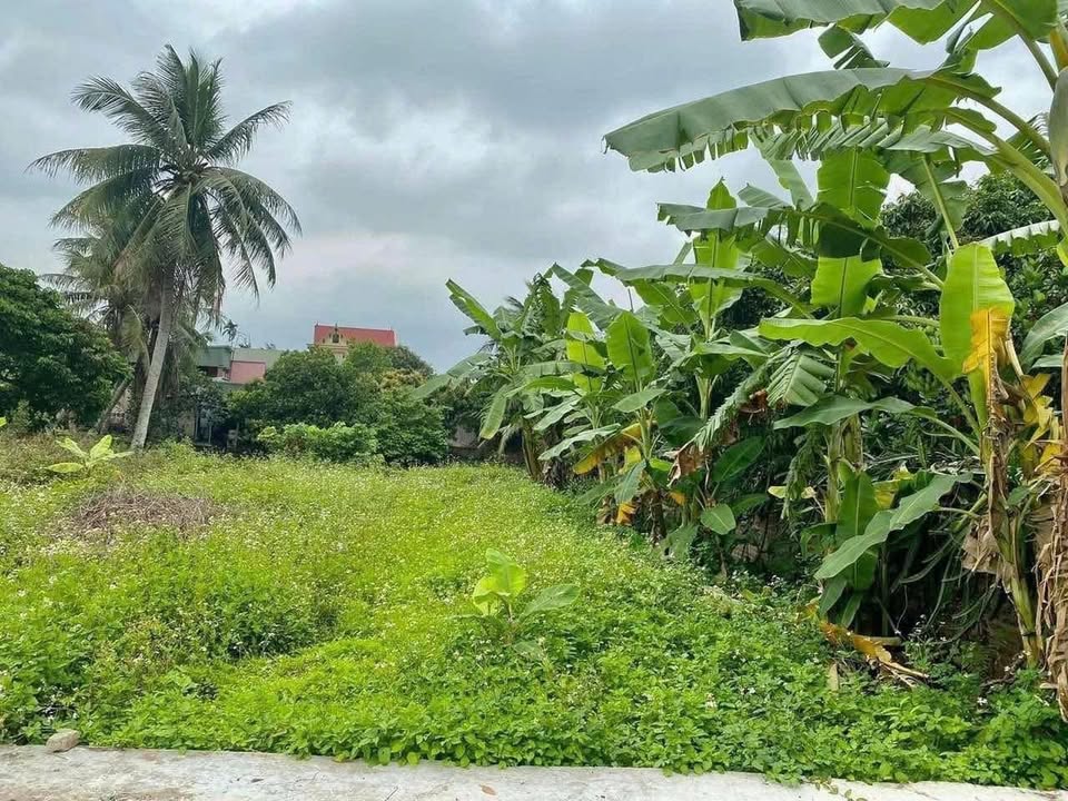 Đất chính chủ Thanh An - Thanh Hà 100m² giá chỉ vài trăm triệu - Cơ hội đầu tư tuyệt vời!