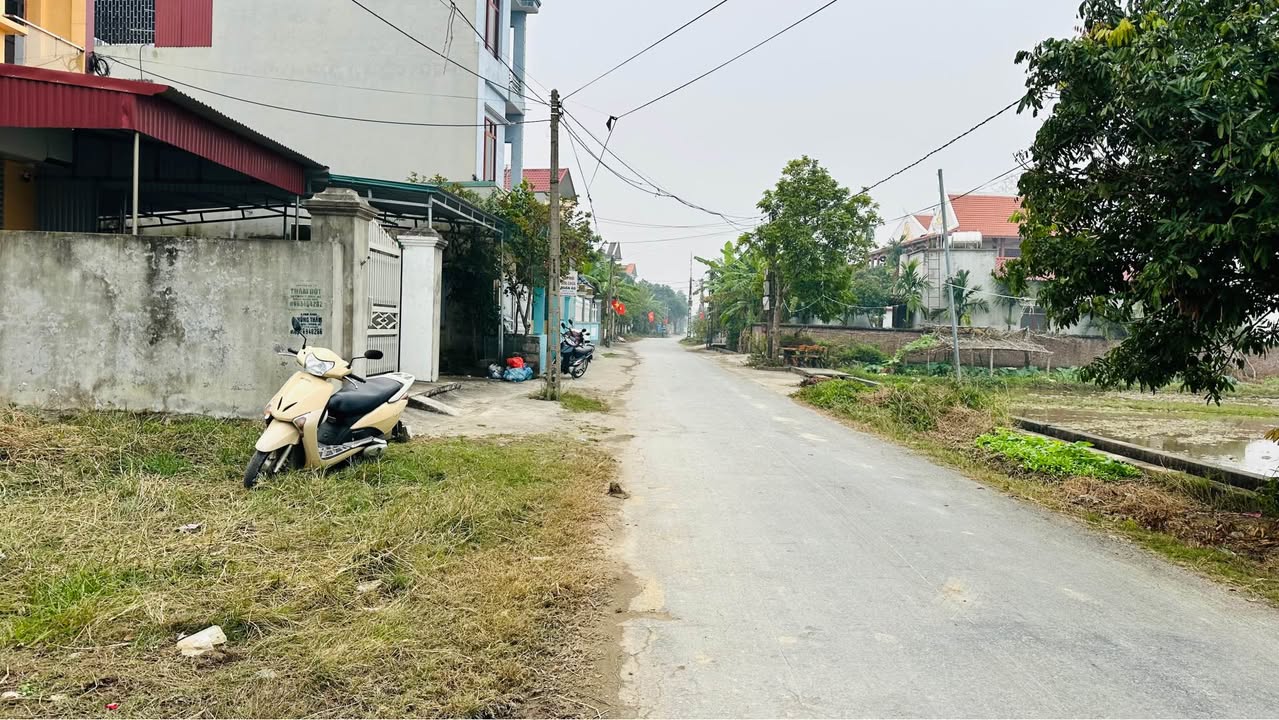 Đất thổ cư Tứ Kỳ 140m² giá 2.5 tỷ - Tiềm năng tăng giá cao!